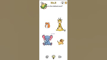 Brain Out Level 3 - Who is the tallest one?