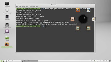 install video codecs in linux mint 13