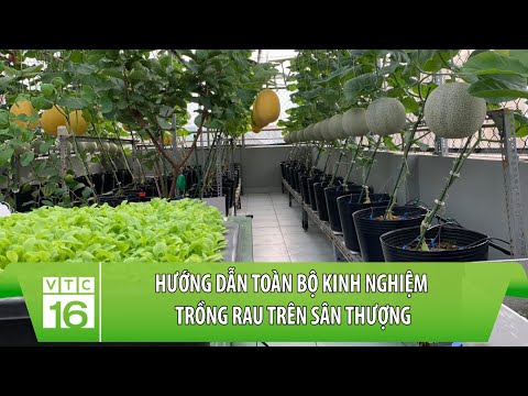 Video: Bạn Có Thể Trồng Rau Trên Hiên Của Bạn - Cách Trồng Một Vườn Rau Sân
