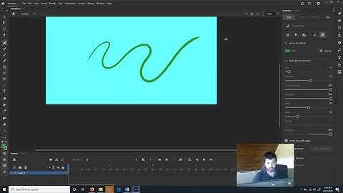 The Adobe Animate Interface