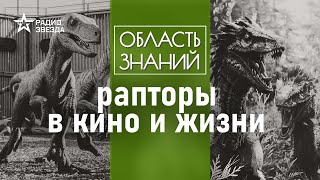 Чем голливудские динозавры отличаются от реальных? Лекция палеонтолога Дмитрия Пащенко