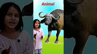 Learn Animals Name Buffalo, Donkey | Funny Animals Video | Domestic Animals | #shorts  #shirtsvideo