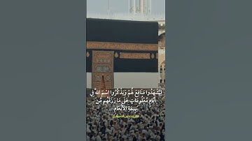 وَأَذِّن فِي النَّاسِ بِالْحَجِّ || القارئ حسين العسكري