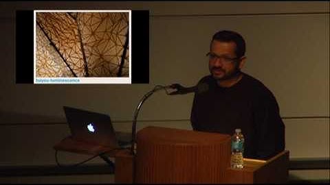 Igor Siddiqui 2 16 017