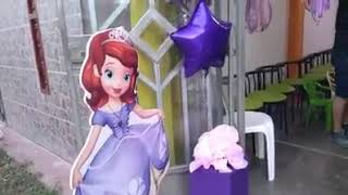 Show Infantil Sofia Eventos Infantiles Darishow