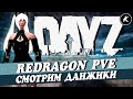 DAYZ | СМОТРИМ ДАНЖИКИ НА СЕРВЕРЕ REDRAGON_PVE #dayz #pve #dayzpve