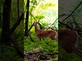 Nature is Lovely…