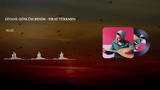 DİVANE GÖNLÜM BENİM - Fırat Türkmen Resimi