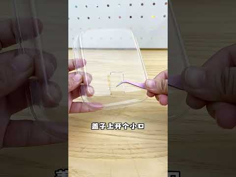 用完的塑料盒不要扔，简单几步就能变成好玩的掌心篮球机~Turn a plastic box into a mini basketball toy【喵小呜的盒子】