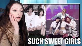 Female K-pop Idols Protecting Each Other from Wardrobe Accidents Reaction!!