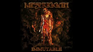 Meshuggah - Ligature Marks (Lyrics)