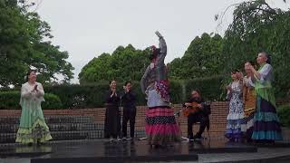 Flamenco studio fortuna  at Kyoto Spanish Cooking Festival 2024