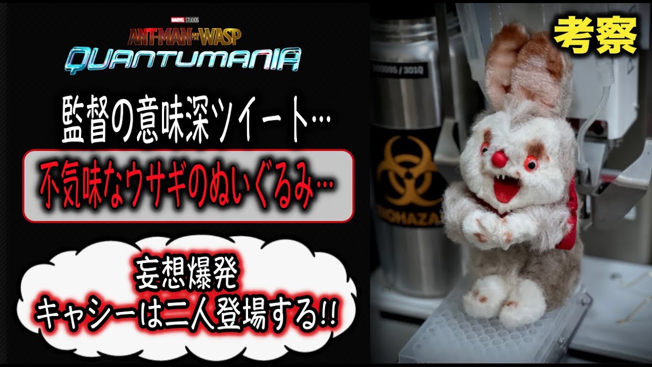 アントマン ワスプ クァントゥマニアの監督が意味深ツイート 誇大妄想で考察してみた キャシーは二人登場する Youtube アントマン ワスプ クァントゥマニアの監督が意味深ツイート 誇大妄想で考察してみた キャシーは二人登場する Youtube