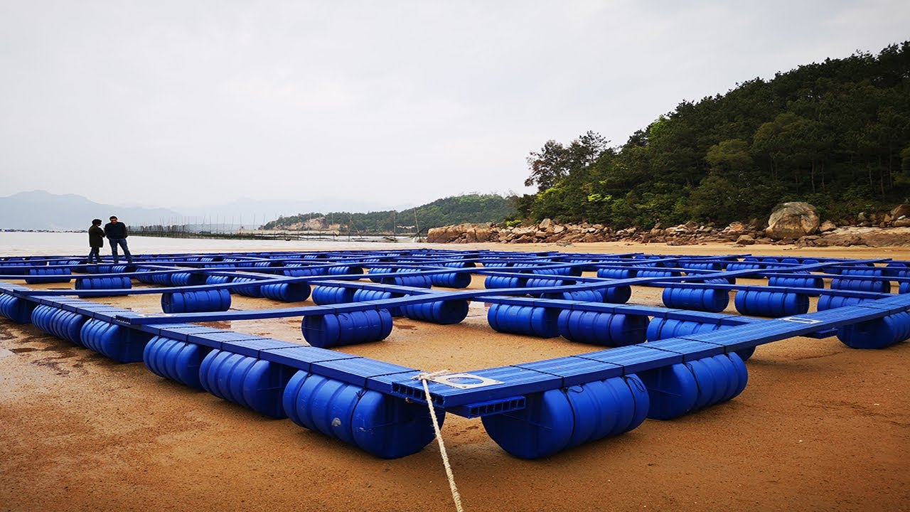 marine aquaculture pedal equipment|pe plastic fish raft equipment|hdpe marine board extrusionmachine