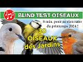 Blind test  30 chants doiseaux du jardin pour ne rien rater du printemps 2024 