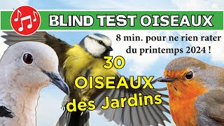 BLIND TEST : 30 chants d'Oiseaux du Jardin (Pour ne rien rater du printemps 2024 !)