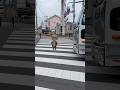 繰り返す悲劇 The tragedy is repeated