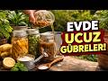 Pahalı Gübrelere İhtiyacınız Yok: Bitkileri Coşturan Dört Gizli Ev Yapımı Sıvı! ⚡