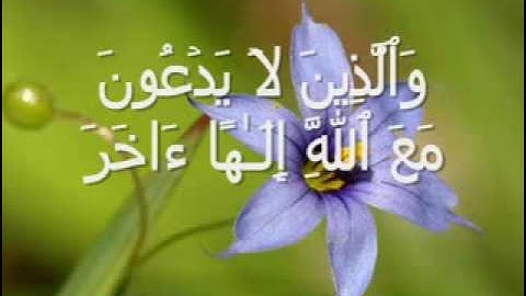 تلاوه من سورة الفرقان -الشيخ انس الغامدي.flv