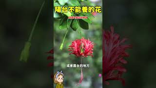 陽台千萬別養這些花#园艺 #花花世界