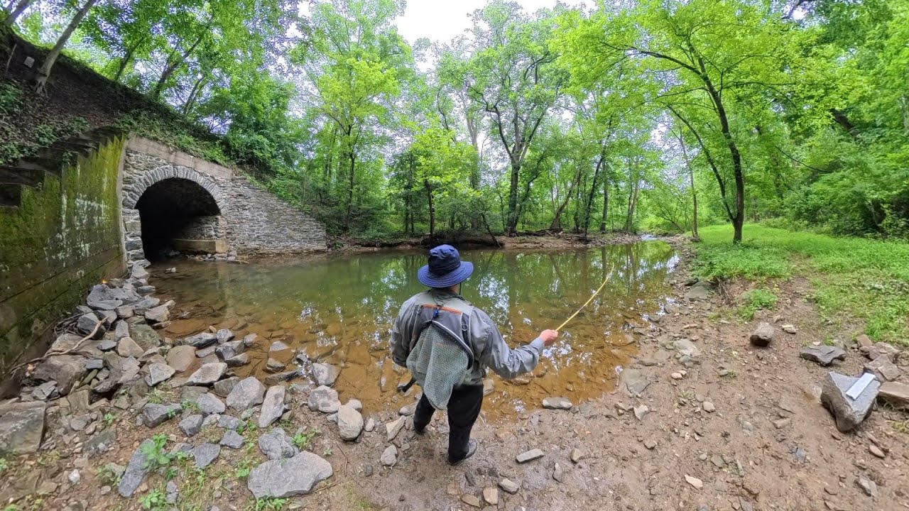 Fishing with OGK Nisakume Tenkara rod, Catching Green Sunfish | ASMR 