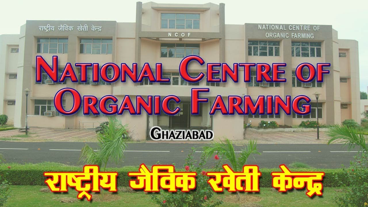 Farming National Centre of Organic Farming जैविक खेती से लाभ YouTube