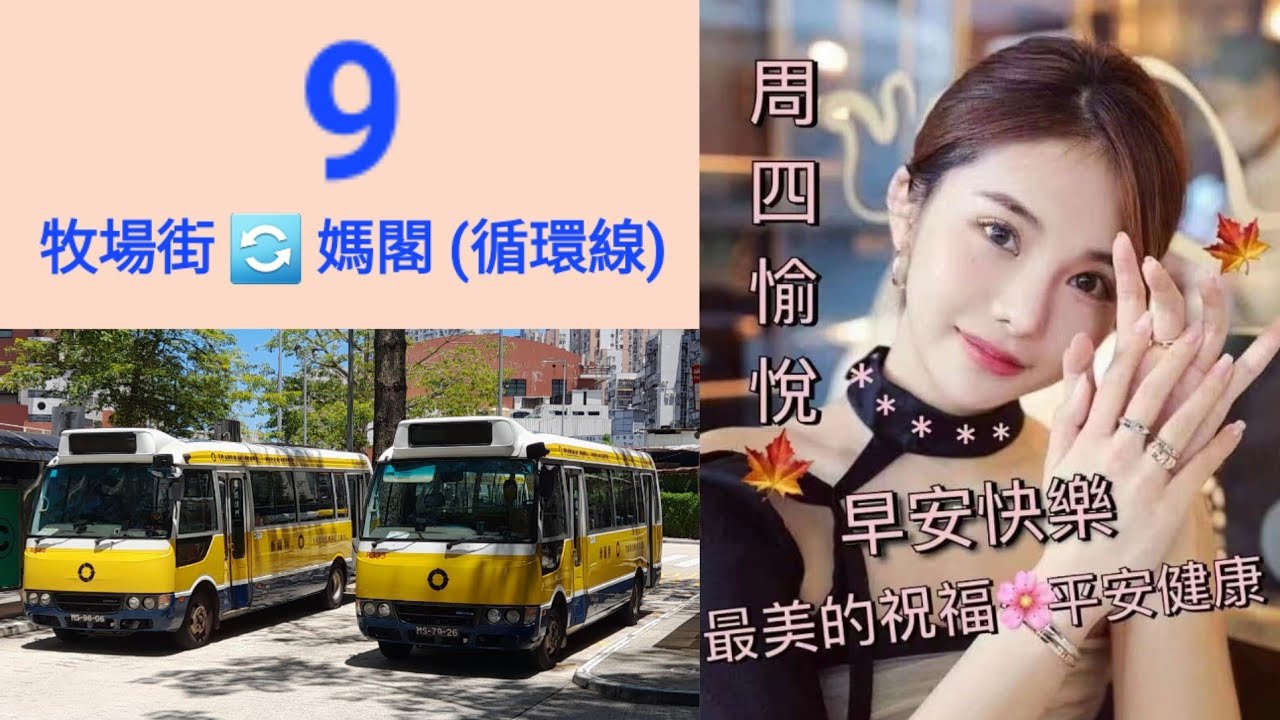 Macau Bus S.A.R.L R333 @ 9 澳門新福利公共汽車有限公司 Mitsubishi Rosa 牧場街 媽閣 牧場街