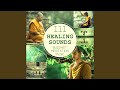 Buddhist meditation music