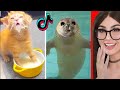 Cute animals on tiktok that will make you laugh