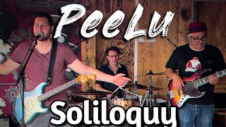 Peelu - Soliloquy - Live Bobs Bar Obfelden, Switzerland