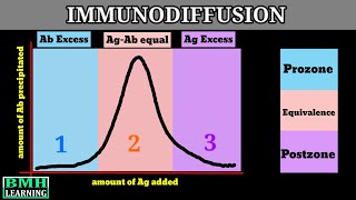 Immunodiffusion Singe Immunodiffusion Double Immunodiffusion Types Of Immunodiffusion 