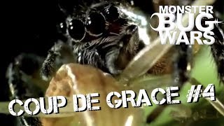 MONSTER BUG WARS | Coup De Grace Collection #4