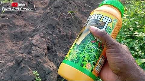 How to apply herbicides in your cassava farm