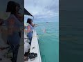 「【神回】堤防からルアー投げたら、まさかの大物がヒットして竿がブチ折れそうになった件…大興奮の結末！！🎣✨」