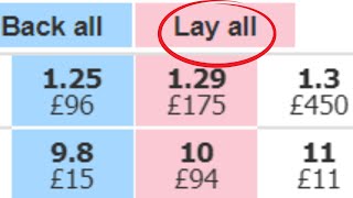 LAYING EVERY HORSE AT 1.3 ODDS 🐴 What Happens? BETFAIR TRADING STRATEGY