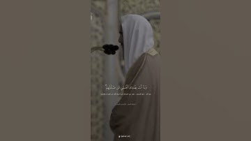 القارئ الشيخ أحمد طالب من سورة النمل ♥️🌿