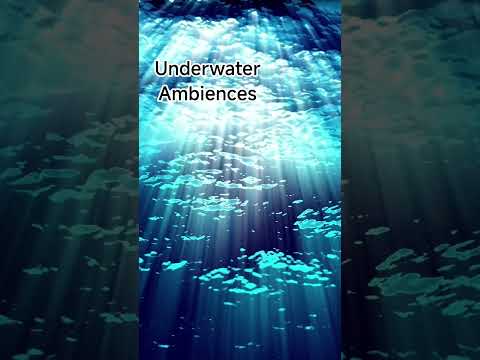 Echoes Of Atlantis Dolphin Whale Sounds For Deep Sleep Relaxation