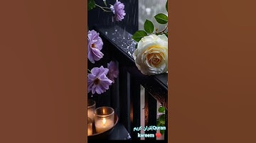 Quran kareem|قران كريم 💙 سورة النور💙