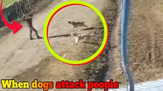 Dogs Attacking People  Compilation!!!