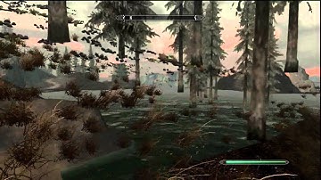 skyrim out of solitude GLITCH