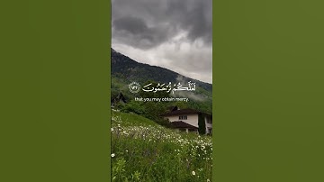 تلاوه خاشعه للشيخ محمد اللحيدان ♥️🎧#محمد_اللحيدان #تلاوة_خاشعة #تلاوات #راحة_نفسية #اكسبلور #quran