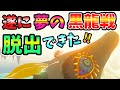 ついに黒龍戦を完全脱出できたけどティアキンが別ゲーに…！？(ver1.1.2以下？)【ティアキン TotK】裏技 バグ 検証 ゆっくり実況 glitch