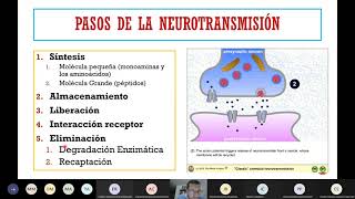 Neurotransmisores y neurotransmisión