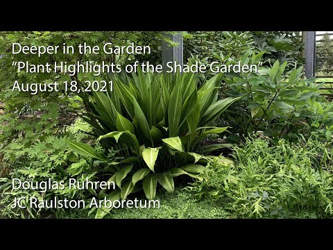 "Plant Highlights of the Shade Garden"