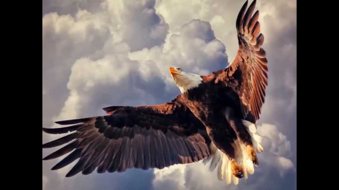 fly high like an eagle Chords Chordify fly high like an eagle Chords Chordify