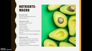 SOIL SCIENCE DYA 10013 CHAPTER 3 PART 1