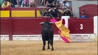 Pertunjukan Matador vs Banteng | Part-2