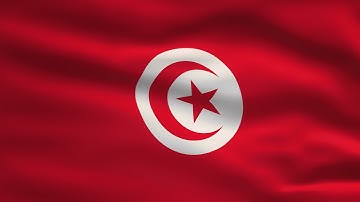 Tunisia Waving Flag Animation | 8k Ultra HD | Flags of the World