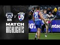 Rohan after the siren  geelong cats v western bulldogs highlights  round 14 2021  afl