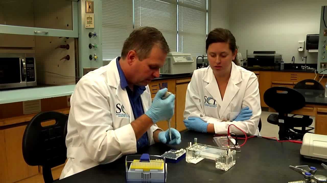 SCF Biotechnology Program YouTube